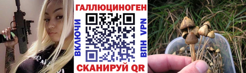 Псилоцибиновые грибы Magic Shrooms  Собинка 